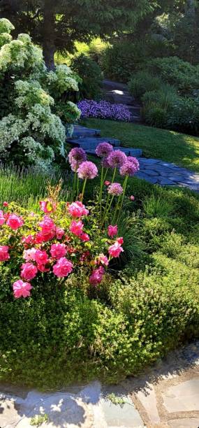 istock Landscaped garden 1341238212