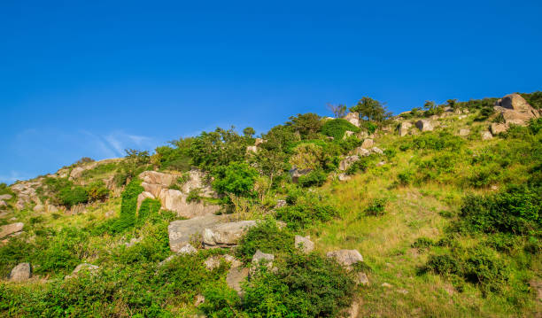 руины замка хаммерсхус в борнхольме - hammershus bornholm island denmark island стоковые фото и изображения