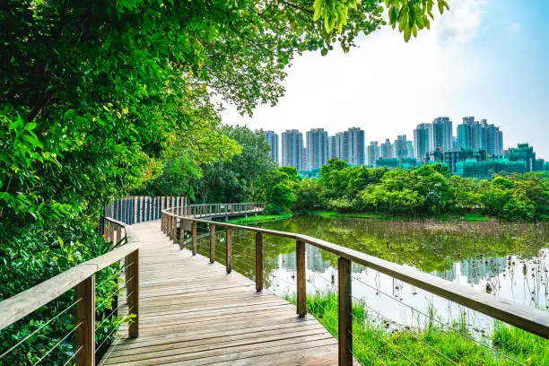 Photo of Wooden Bridge Walkway