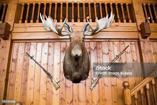 Cabeça De Alce E Pistolas Na Parede - Fotografias de stock e mais imagens de Alce - Alce, Parede, Taxidermia