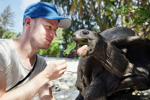 Man with giant tortoise on beach