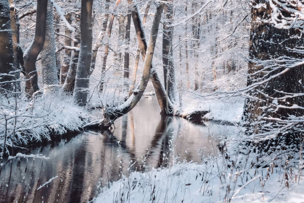 Winter landscape with river and forest covered with snow at dusk