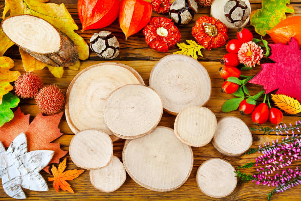 istock Various colorful  natural Autumn decorations on wooden background 1341251881