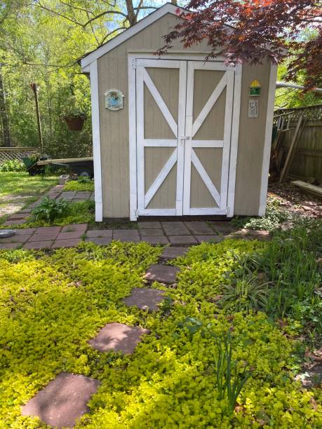 istock The little shed 1341253988