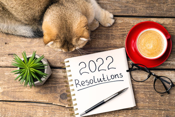 istock New year resolutions 2022 on desk. 2022 resolutions with notebook, cute cat, coffee cup, eyeglasses, succulent on wooden background. Goals, plan, strategy, list, cozy home 1341256708