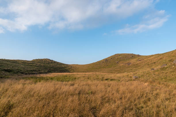 istock At dusk, the golden meadow is under the blue sky 1341260073