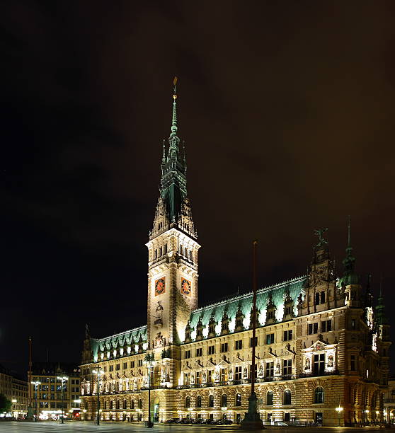 istock Hamburg City Hall 134126430