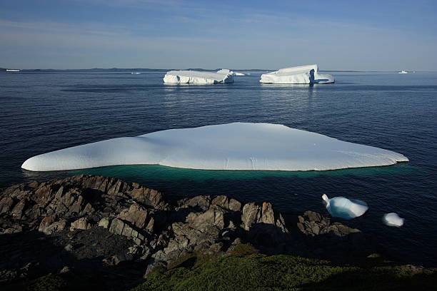 istock Early Morning Icebergs in Goose Cove 134126457