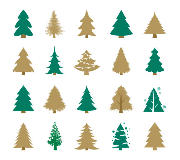 크리스마스 트리 세트 - 전나무 stock illustrations