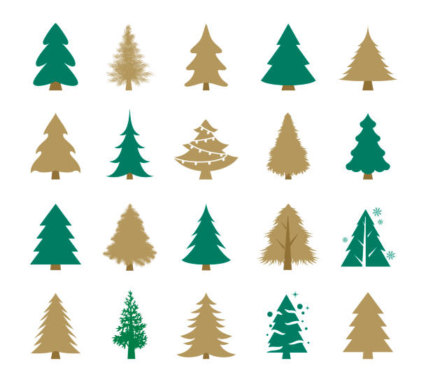 Christmas Trees Set Vector illustration of the Christmas Trees set. fir tree stock illustrations