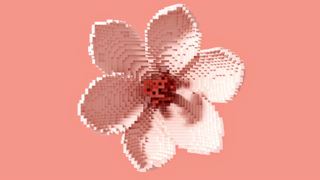 Transformation of a 3D pixel into a digital blooming flower. Seamless looped. NFT concept.