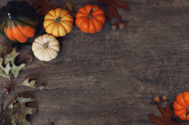 Thanksgiving Background with Fall Pumpkins, Squash and Leaves Over Dark Wood Thanksgiving Holiday Background with Fall Pumpkins, Squash and Leaves Over Dark Wood Table miniature pumpkin stock pictures, royalty-free photos & images