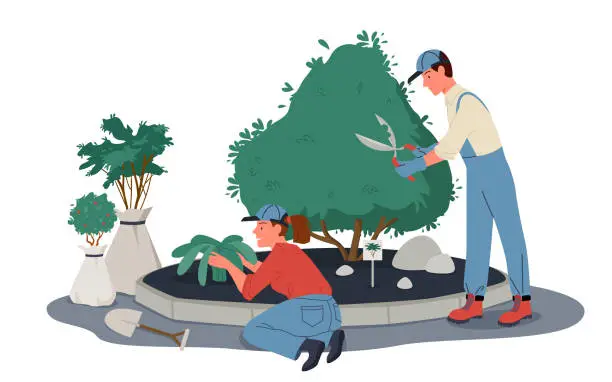 Vector illustration of People gardeners work in garden or park, prune plants, workers pruning, trimming shrub