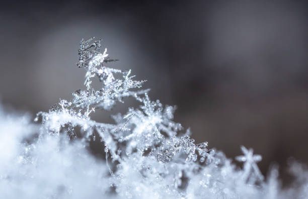 istock Snowflake on snow. Winter holidays and Christmas background 1341271372