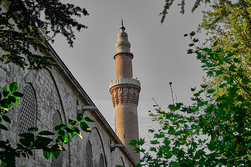 Bursa. Turkey. Low angle view of grand mosque (ulu cami) and its minaret behind green tree in Bursa during sunset and sun light reflection on wall of ancient ottoman mosque.