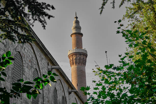 Bursa. Turkey. Low angle view of grand mosque Bursa. Turkey. Low angle view of grand mosque (ulu cami) and its minaret behind green tree in Bursa during sunset and sun light reflection on wall of ancient ottoman mosque. grand mosque photos stock pictures, royalty-free photos & images