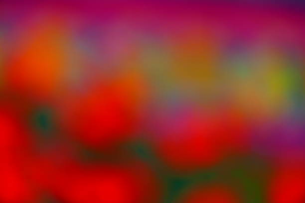 istock Dream of flowers 1341272845