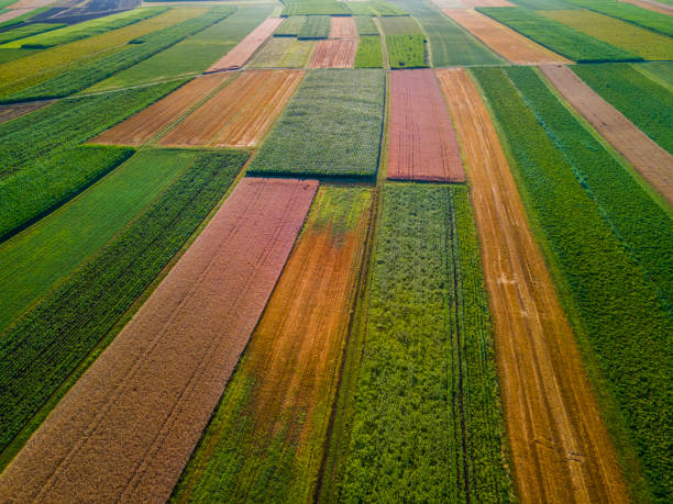 istock Colorful Plants in Agriculture Fields Drone View 1341275563
