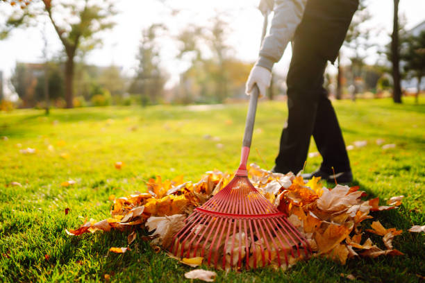 istock Rake with fallen leaves in the park. 1341279739