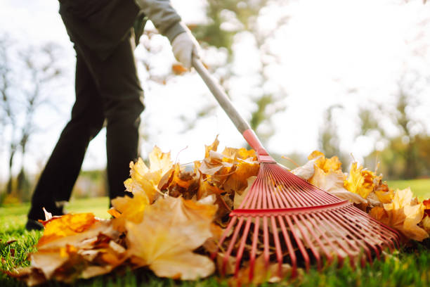 istock Rake with fallen leaves in the park. 1341279741