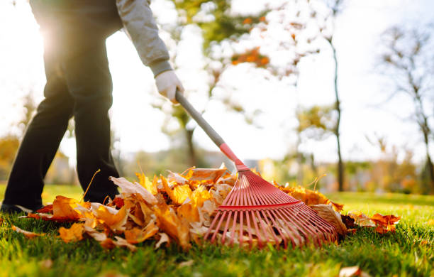 istock Rake with fallen leaves in the park. 1341279743