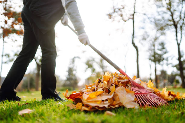 istock Rake with fallen leaves in the park. 1341279847