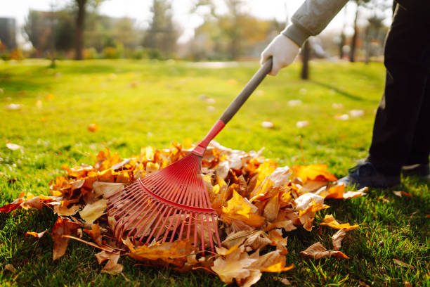 istock Rake with fallen leaves in the park. 1341279886