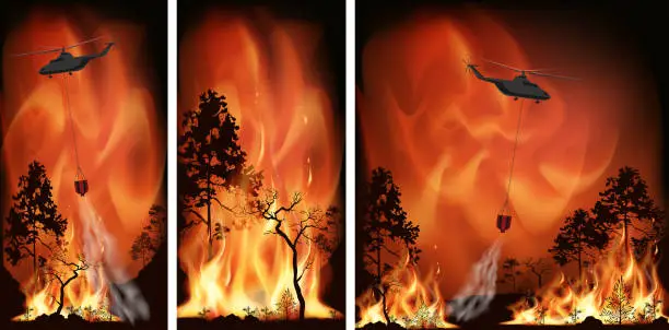 Vector illustration of Vector forest fire, pine trees in fire flames
