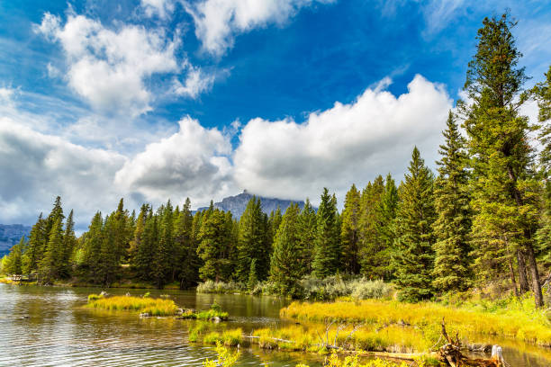 istock Johnson lake in Banff 1341283618