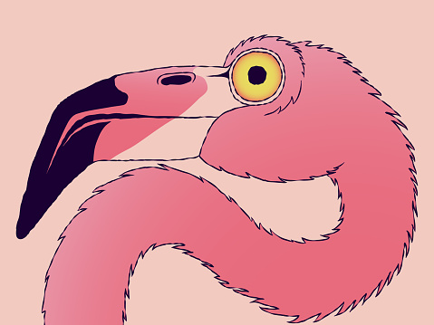 Funny hand-drawn portrait - Flamingo head in profile.