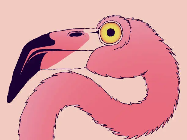 Vector illustration of Funny hand-drawn portrait - Flamingo head in profile.