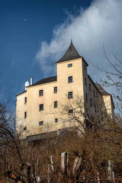 Mighty Castle Wildegg near Sulz in Vienna Woods Mighty Castle Wildegg near Sulz in Vienna Woods , Austria, 20.02.2019 vienna woods stock pictures, royalty-free photos & images