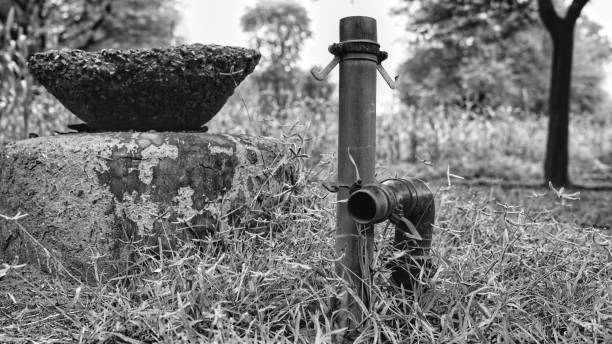 Black and white shot, Plastic pipes for irrigation for Water supply to different different side in the field.