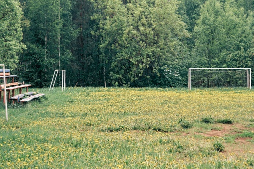 Abandoned football field overgrown with grass in the forest