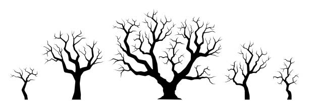 ilustrações de stock, clip art, desenhos animados e ícones de naked tree silhouette set. winter trees with bare branches. vector illustration. - abstract autumn bare tree empty