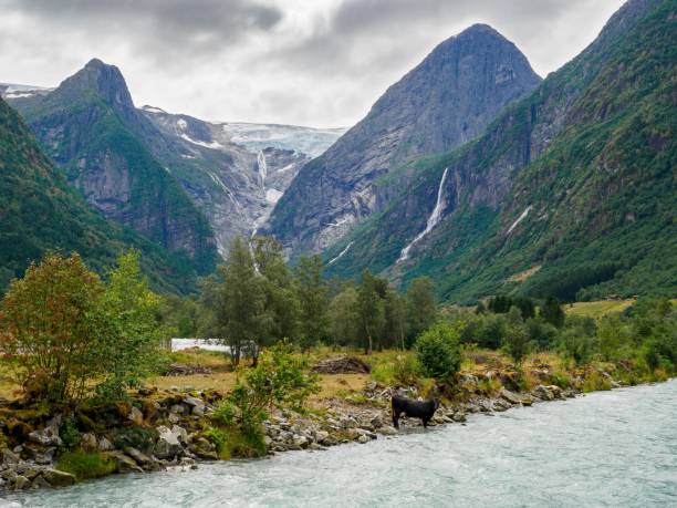 istock Waterfall and a river in the briksdalsbreen Glacier in Norway. 1341285930