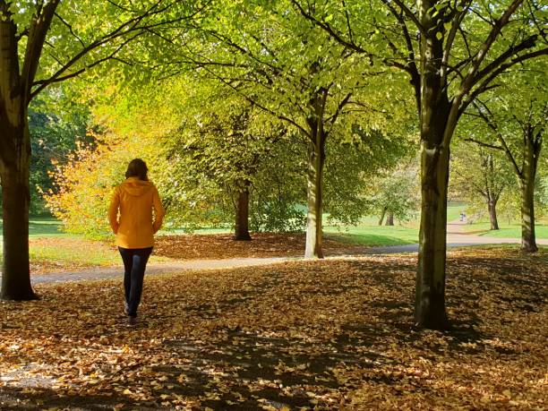 mädchen, das in herbstfarben in einem park spazieren geht - naturreservat stock-fotos und bilder