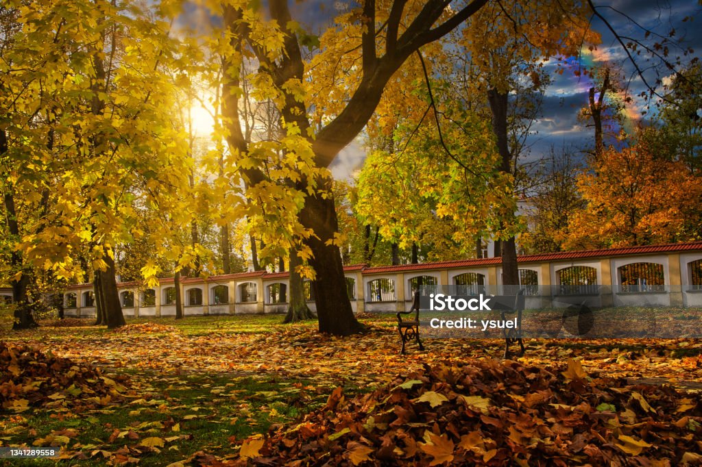 Autumn in the park 5 Romantic autumn park in Bialystok. Podlasie, Poland. Alley Stock Photo