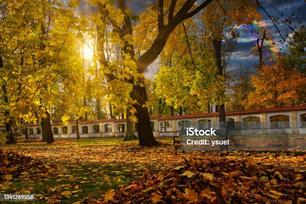 Autumn In The Park 5 Stock Photo - Download Image Now - Alley, Autumn, Autumn Leaf Color