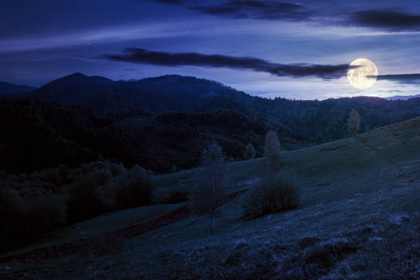 istock rolling rural mountain landscape at night 1341291946