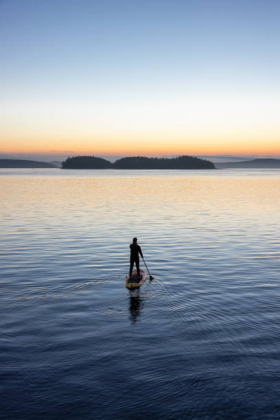 mulher adulta caucasiana aventureira em uma prancha de stand up paddle - west coast living - fotografias e filmes do acervo