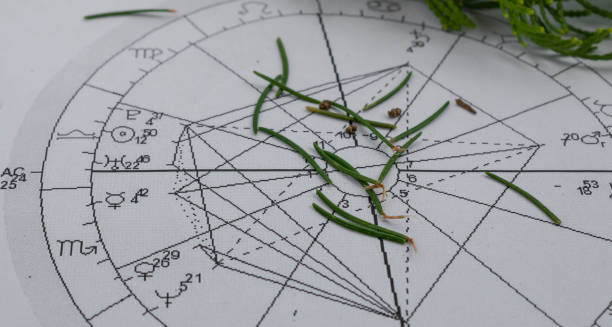 istock Printed astrology chart with fir needles 1341296702
