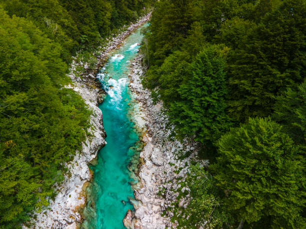 istock Soca River in Slovenia Triglav Park. Alpine River Drone View 1341299222