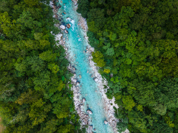 istock Beautiful Alpine River Soca in Slovenia Triglav Park 1341301648