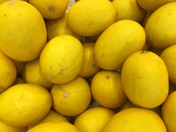 istock Food Background yello melon 1341303995
