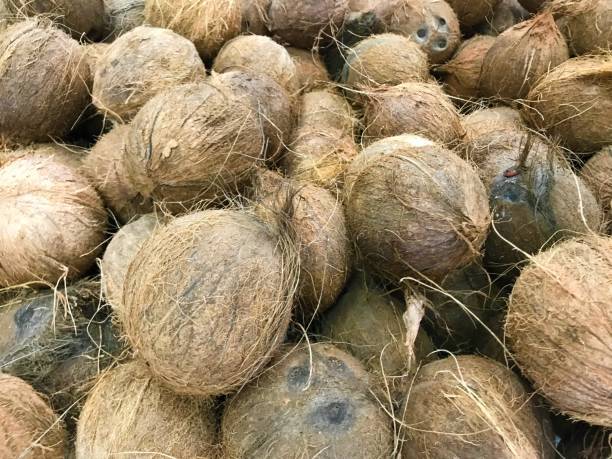 istock Food Background coconut 1341304011