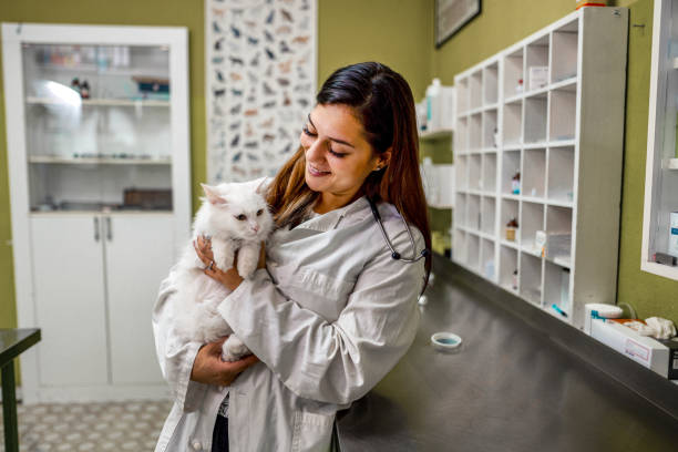 istock Portrait of veterinarian and white kitty 1341307326