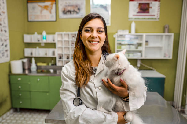 istock Portrait of veterinarian and white kitty 1341307352