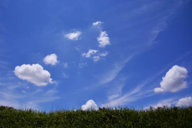 istock Blue sky, white clouds and flowers. 1341311504