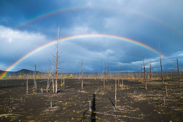 Multiple rain storms and  several rainbows popping in multiple locations in Kananaskis, Alberta Canada.